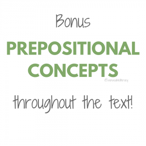 image stating Bonus Prepositional Concepts throughout the text