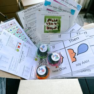 image showing the items included within the "I Say OOH You Say AAH" Sensory Based Literacy Kit
