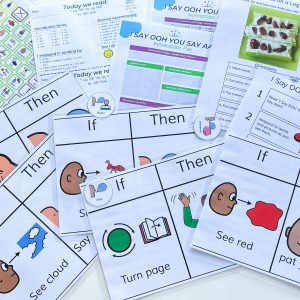 image of documents included within the digital downloads of the "I Say OOH You Say AAH" sensory based literacy kit.